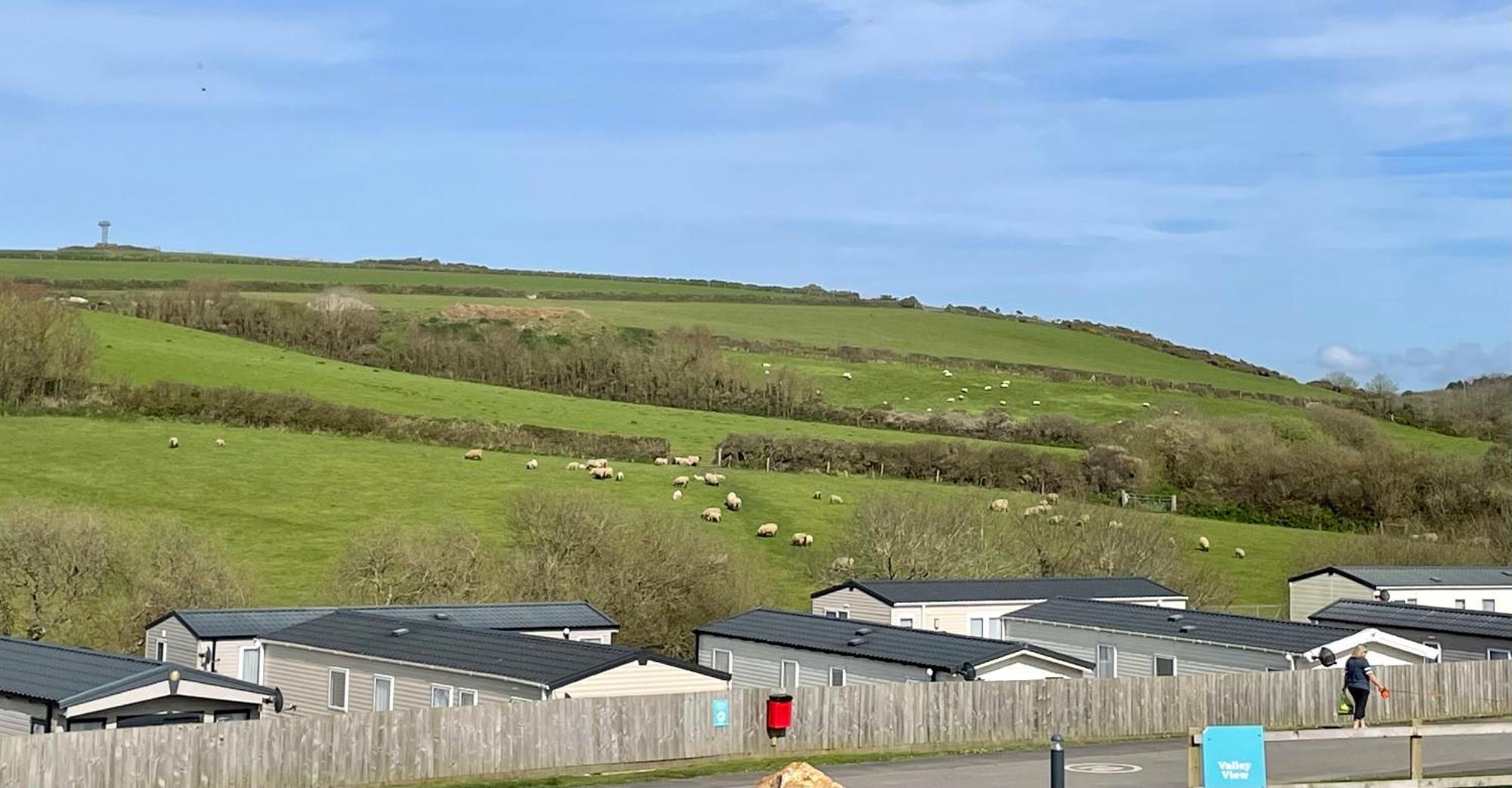 Newquay Bay Resort Sandy Toes - Pet Friendly Eksteriør billede